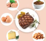 Alimentation (infographie). Par quoi remplacer la viande ?