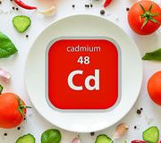 Cadmium dans les aliments. La faute aux engrais