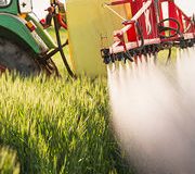 Pesticides agricoles. Les ventes en forte hausse